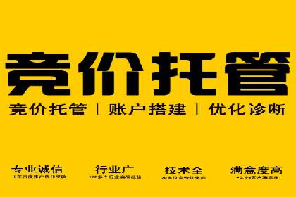 提升转化率：SEM推广优化的实战案例